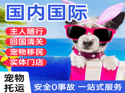 襄阳刘集机场空运国际宠物托运 【国